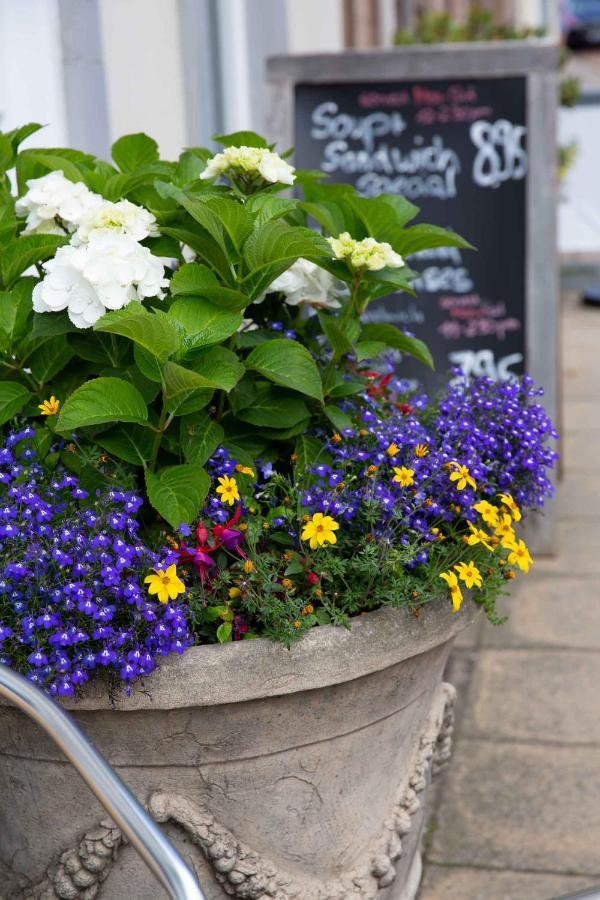 Queens Head Hotel Berwick Upon Tweed Exteriér fotografie